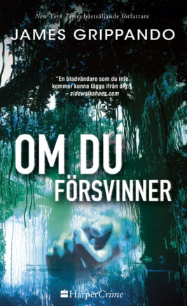 Om du försvinner - ebook