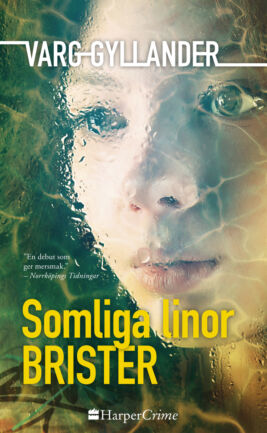 Somliga linor brister - ebook