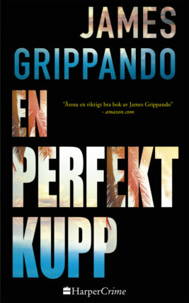 En perfekt kupp - ebook
