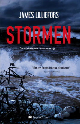 Stormen - ebook