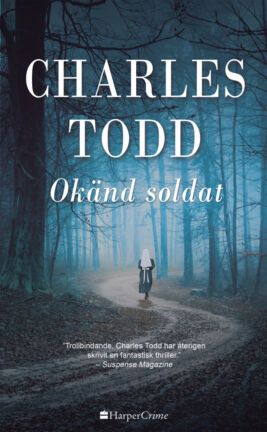 Okänd soldat - ebook
