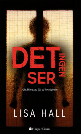 Det ingen ser - ebook