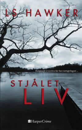Stjålet liv - ebook