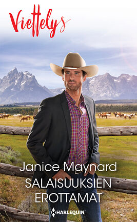 Salaisuuksien erottamat - ebook