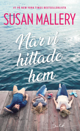 När vi hittade hem - ebook