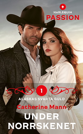 Under norrskenet  - ebook