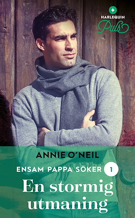 En stormig utmaning  - ebook