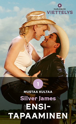 Ensitapaaminen - ebook