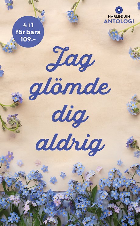 Harpercollins Nordic Jag glömde dig aldrig - ebook